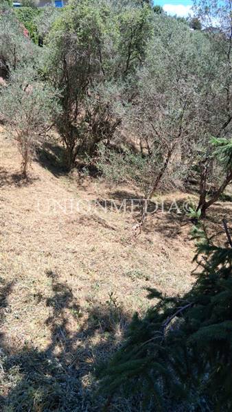 WhatsApp Image 2025-07-11 at 10.25.26 (1).jpeg