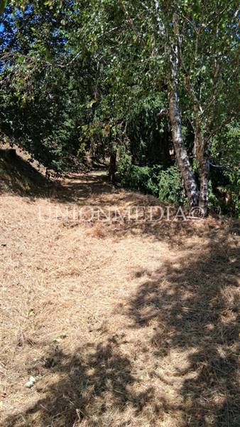 WhatsApp Image 2025-07-11 at 10.25.27 (2).jpeg