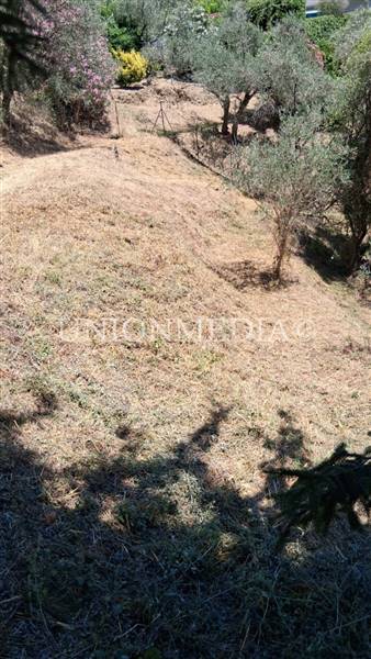 WhatsApp Image 2025-07-11 at 10.25.26.jpeg