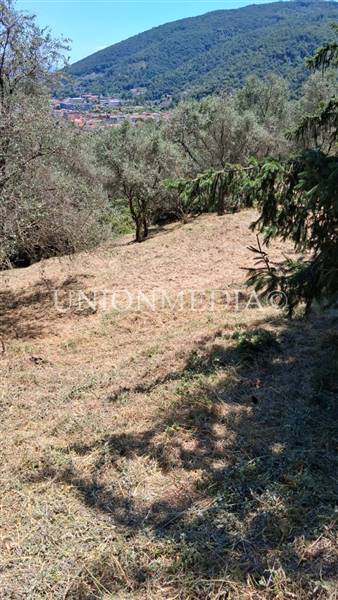 WhatsApp Image 2025-07-11 at 10.25.26 (2).jpeg