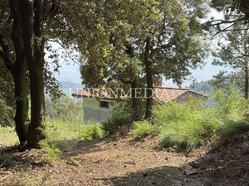 23 carignano fosdinovo rustico indipendente.jpg