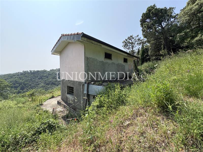 21 carignano fosdinovo rustico indipendente.jpg