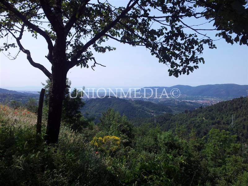 WhatsApp Image 2025-06-10 at 09.31.22 (7).jpeg