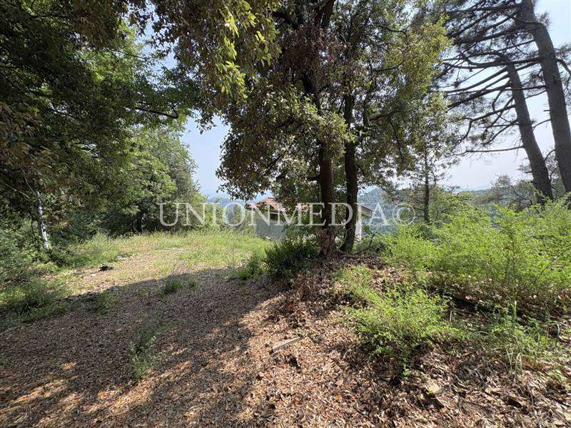 22 carignano fosdinovo rustico indipendente.jpg