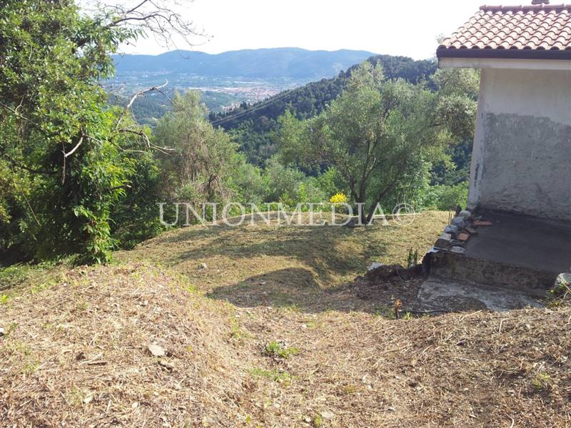 WhatsApp Image 2025-06-10 at 09.31.21.jpeg