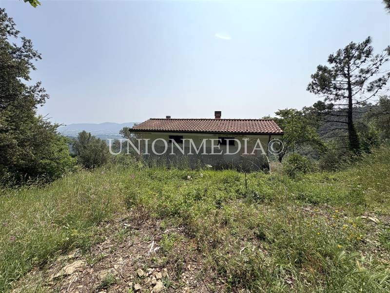 18 carignano fosdinovo rustico indipendente.jpg