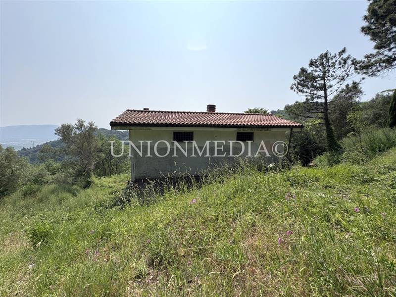 20 carignano fosdinovo rustico indipendente.jpg