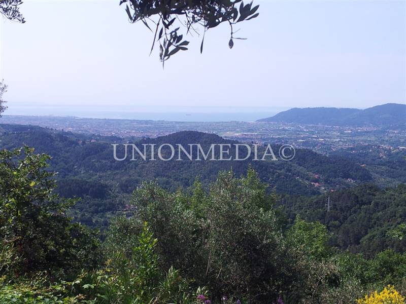 WhatsApp Image 2025-06-10 at 09.30.04.jpeg