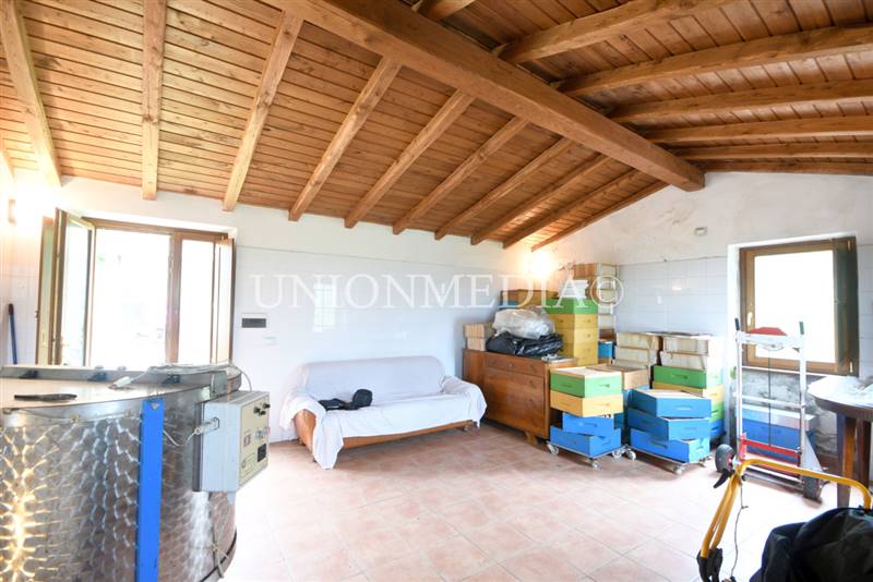 7 canepari fosdinovo casa indipendente con giardin