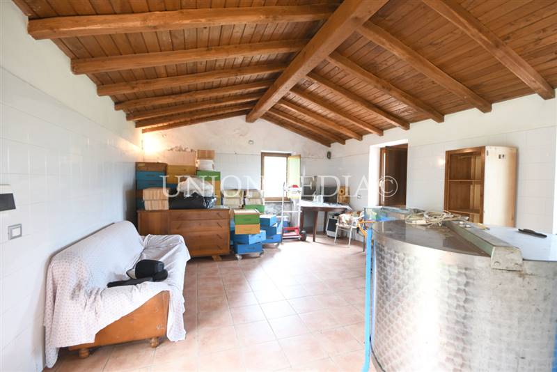 4 canepari fosdinovo casa indipendente con giardin