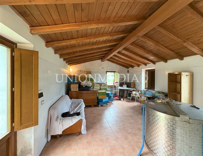 3 canepari fosdinovo casa indipendente con giardin