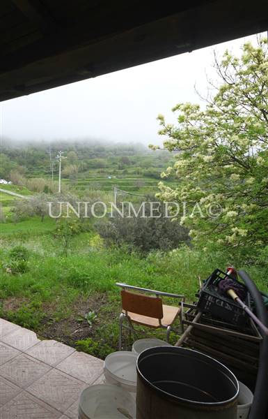 12 canepari fosdinovo casa indipendente con giardi