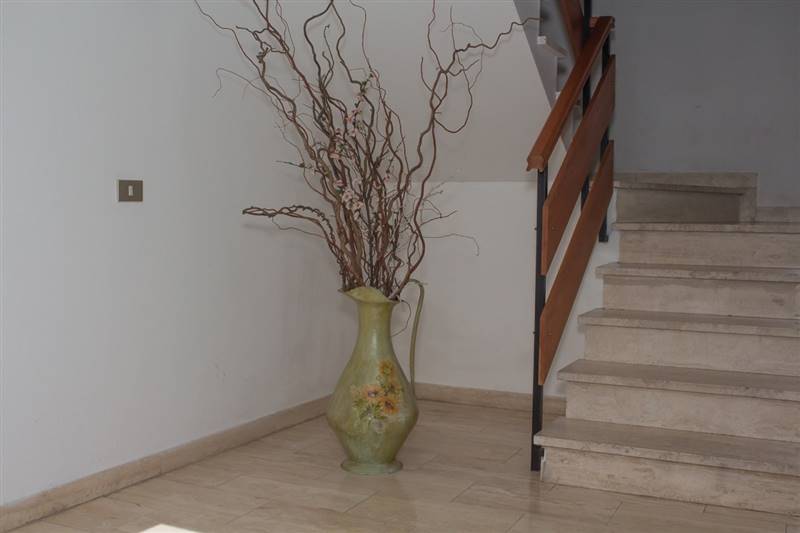 WhatsApp Image 2021-11-11 at 10.34.30.jpeg