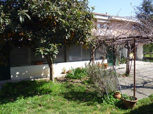 giardino con annesso magazzino e box auto