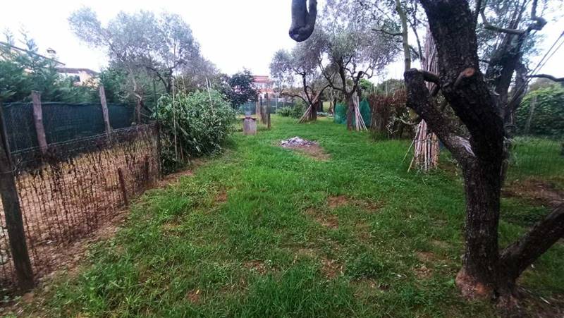 Immagine WhatsApp 2023-09-27 ore 19.05.11.jpg