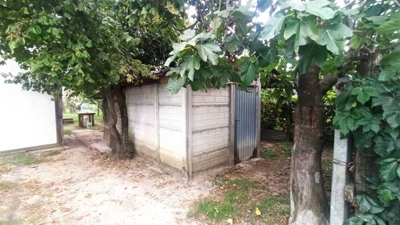 Immagine WhatsApp 2023-09-27 ore 19.05.36.jpg