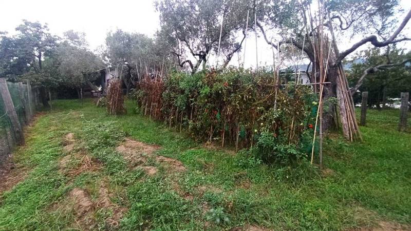 Immagine WhatsApp 2023-09-27 ore 19.04.49.jpg