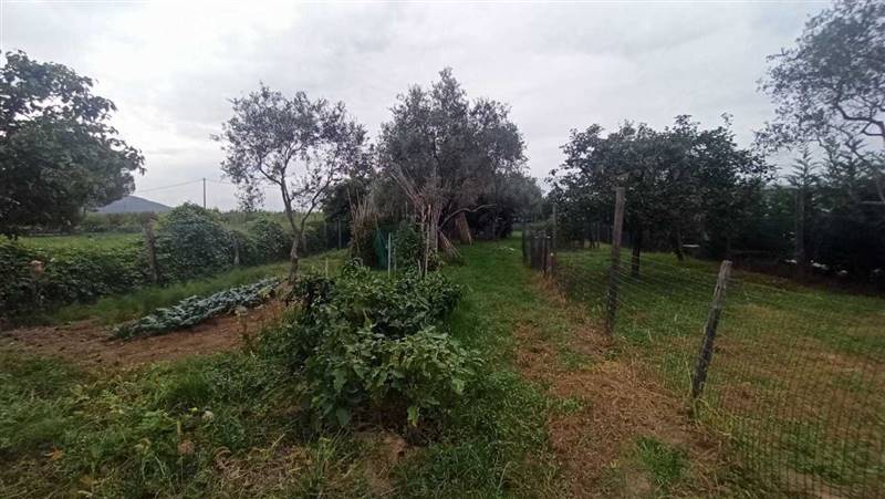 Immagine WhatsApp 2023-09-27 ore 19.04.57.jpg