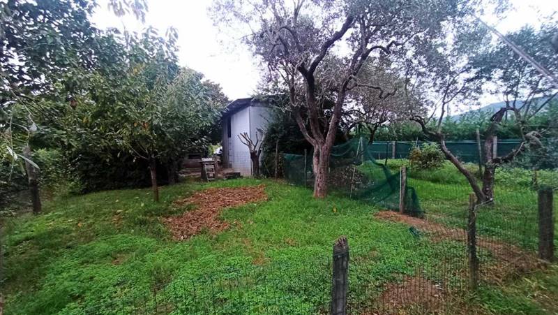 Immagine WhatsApp 2023-09-27 ore 19.03.48.jpg