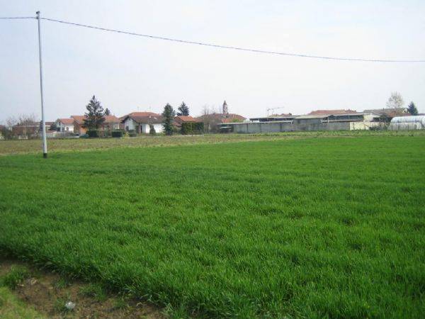 terreno favari sibona domenico 001.jpg