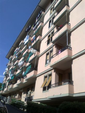 Palazzo