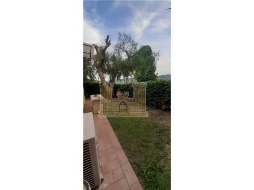 APPARTAMENTI - IN TERRATETTO - ROSIGNANO MARITTIMO
