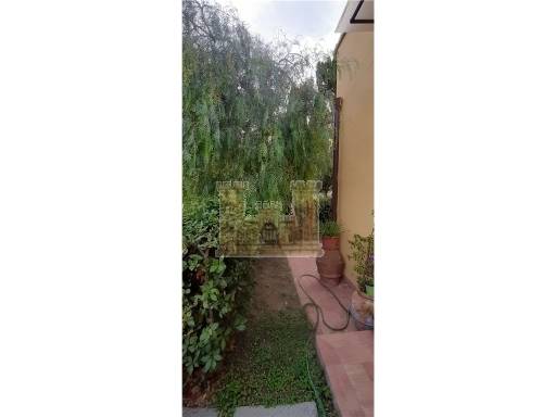 APPARTAMENTI - IN TERRATETTO - ROSIGNANO MARITTIMO