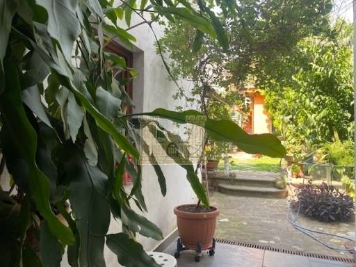 APPARTAMENTI - IN TERRATETTO - FIRENZE