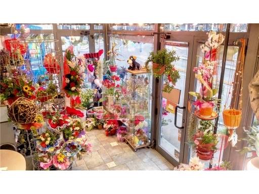 ATTIVITA' COMMERCIALI - CHIOSCO - FIRENZE