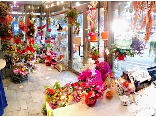 ATTIVITA' COMMERCIALI - CHIOSCO - FIRENZE