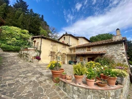 COLONICHE - COMPLESSO COLONICO - SESTO FIORENTINO