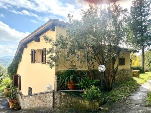 COLONICHE - COMPLESSO COLONICO - SESTO FIORENTINO