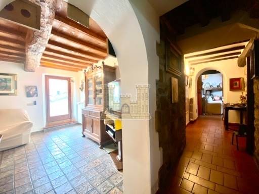 COLONICHE - COMPLESSO COLONICO - SESTO FIORENTINO