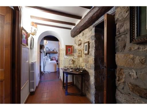 COLONICHE - COMPLESSO COLONICO - SESTO FIORENTINO