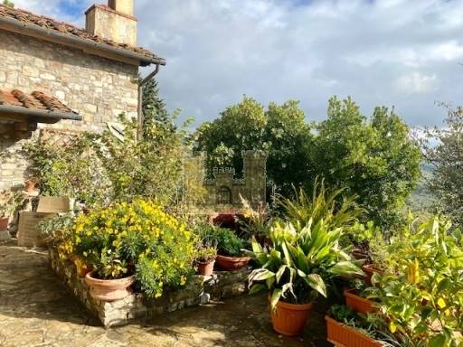 COLONICHE - COMPLESSO COLONICO - SESTO FIORENTINO