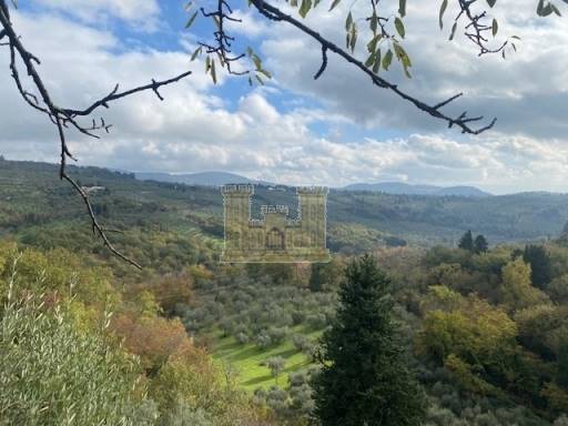 COLONICHE - COMPLESSO COLONICO - SESTO FIORENTINO