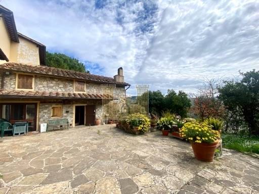 COLONICHE - COMPLESSO COLONICO - SESTO FIORENTINO