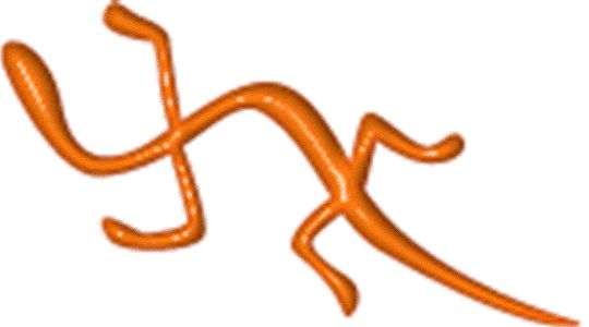 Amiamo gli immobili, perciò non stiamo mai fermi!