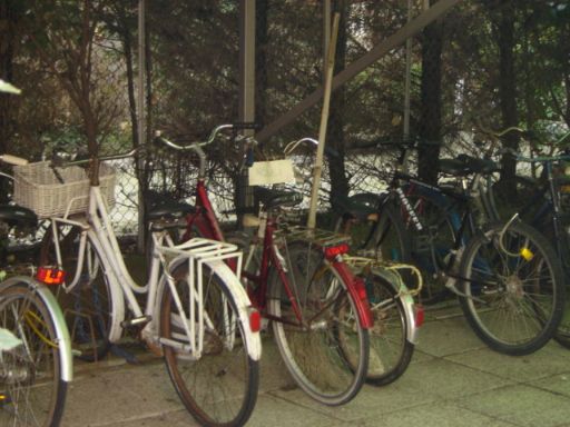 posteggio biciclette