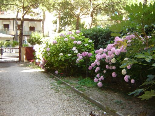 vialetto con passo carraio per posti auto