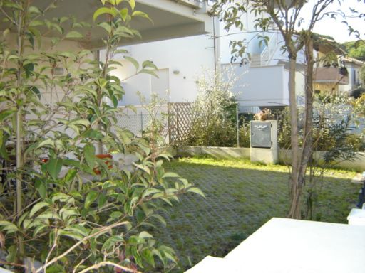 giardinetto ingresso con posto auto