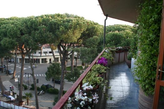 vista dal balcone