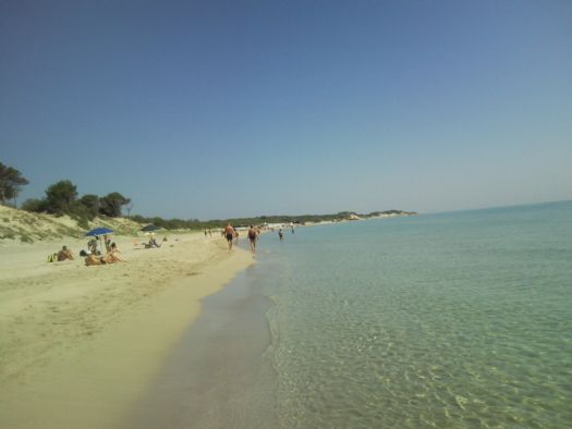 spiaggia della zona