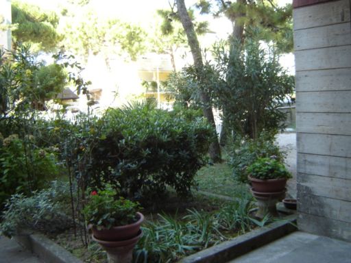 giardino cond