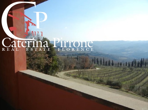 Panzano in Chianti podere in vendita
