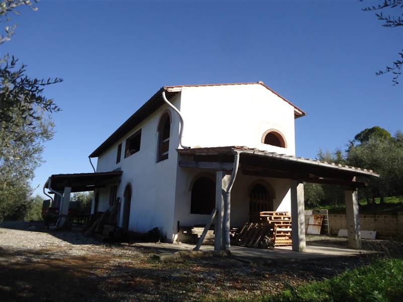 San Miniato vendesi azienda agricola