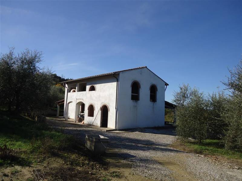 San Miniato vendesi azienda agricola
