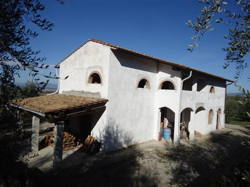 San Miniato vendesi azienda agricola