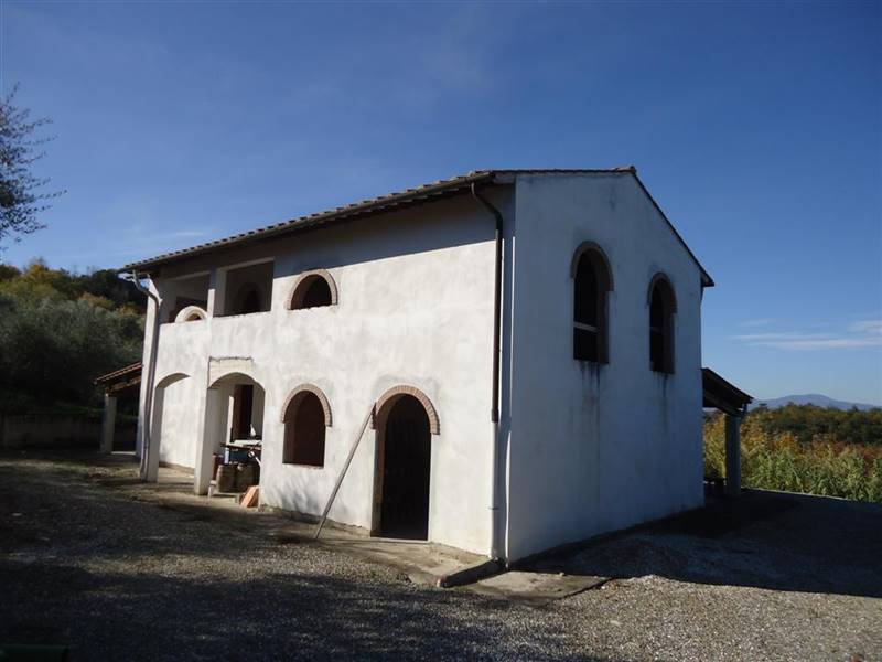 San Miniato vendesi azienda agricola