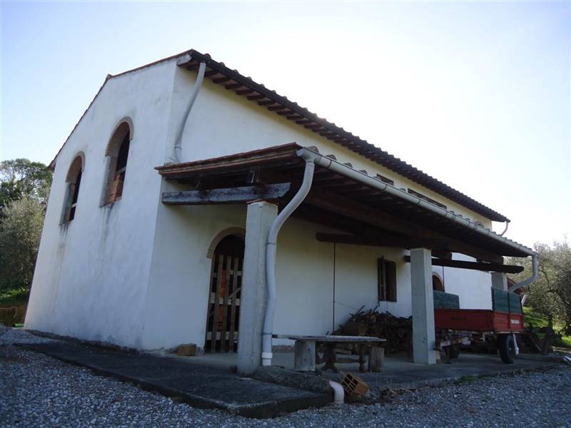 San Miniato vendesi azienda agricola